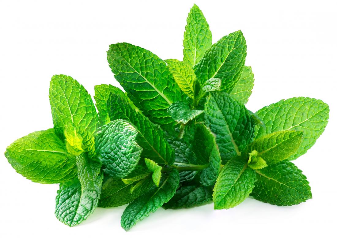 4 Herbs Than Can Help Clear Cystic Acne (Part 2) - Marissa Schillinger